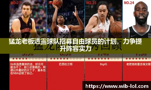 猛龙老板透露球队招募自由球员的计划,力争提升阵容实力